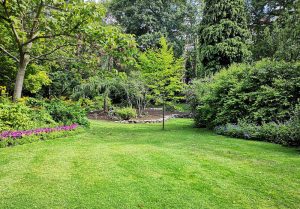 Optimiser l'expérience du jardin à Bucy-le-Roi